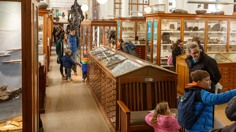 Sedgwick Museum of Earth Sciences