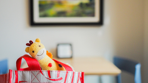 Giraffe toy sticking out of bag
