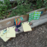 ladybird garden