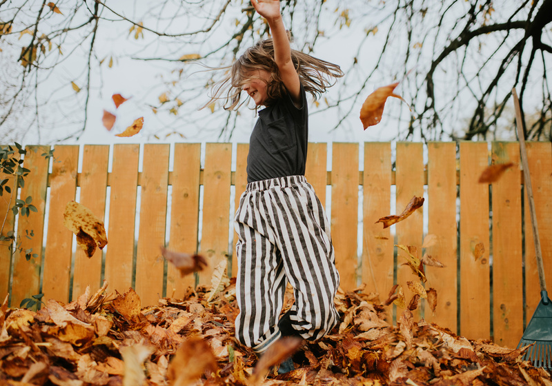 Autumn
