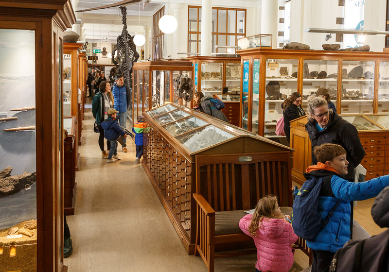 Sedgwick Museum of Earth Sciences